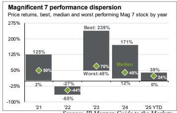 Mag 7 performance dispersion